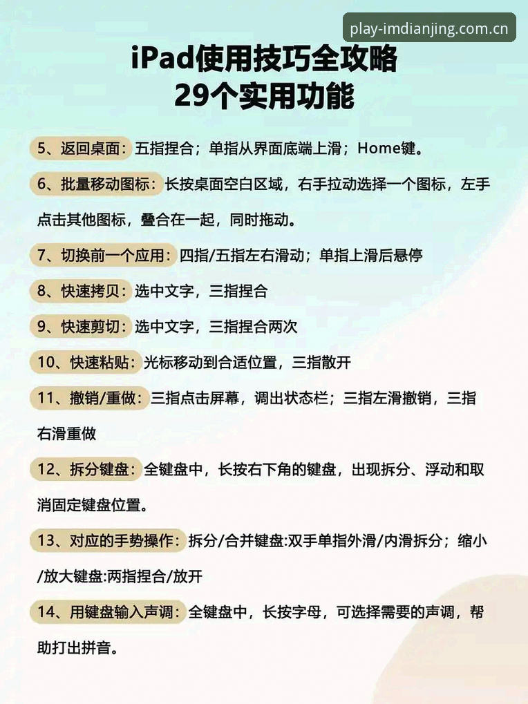 IM电竞娱乐中文官方主页使用技巧｜从菜鸟到老鸟的完整指南